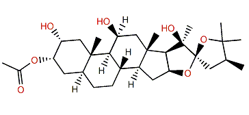 3-Acetyl-2-desacetylhippurin 1